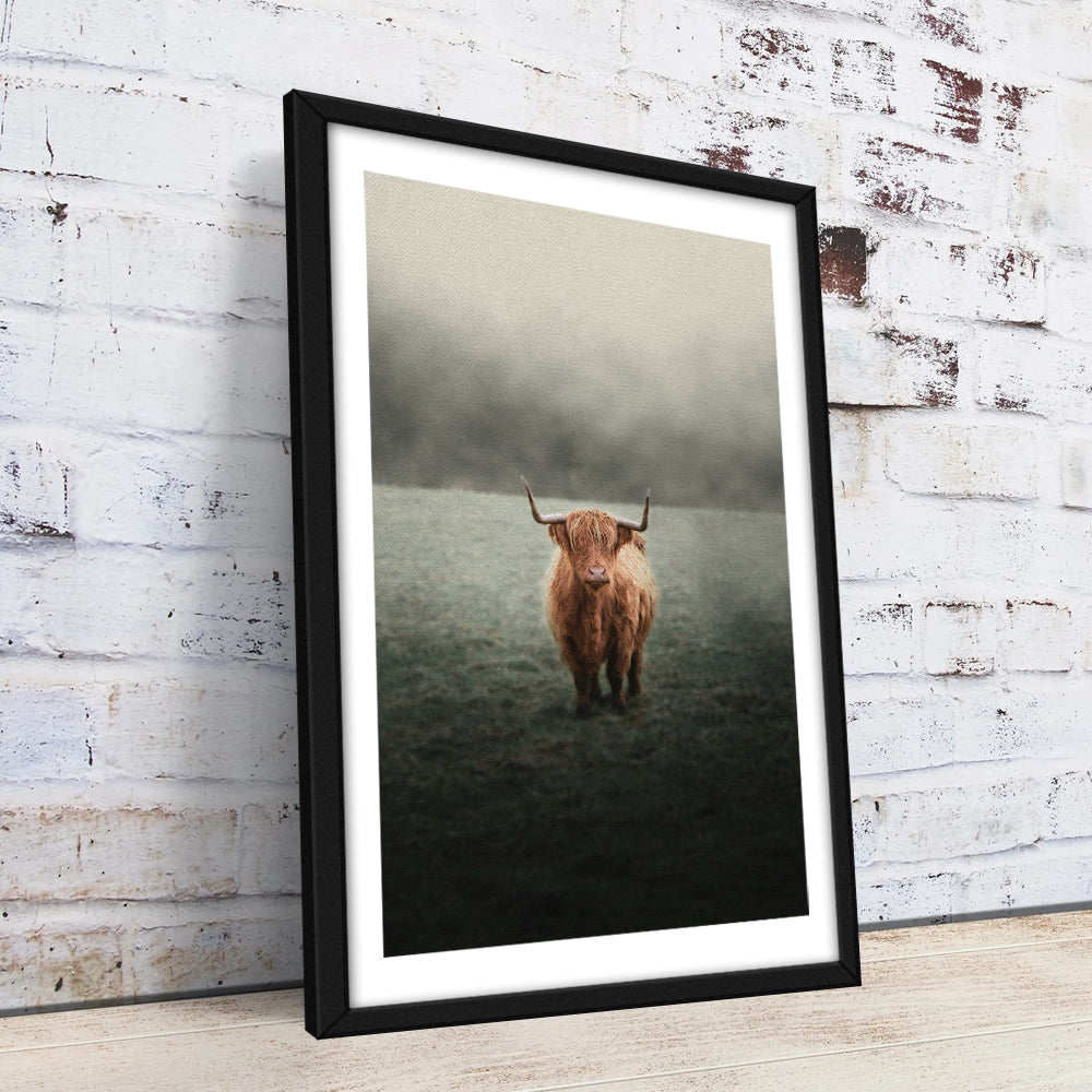Mystery Highland Cow Wall Art