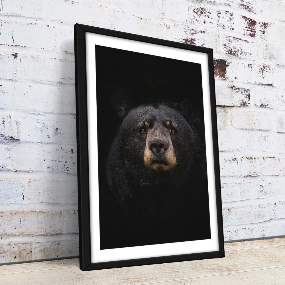 Black Bear Wall Art