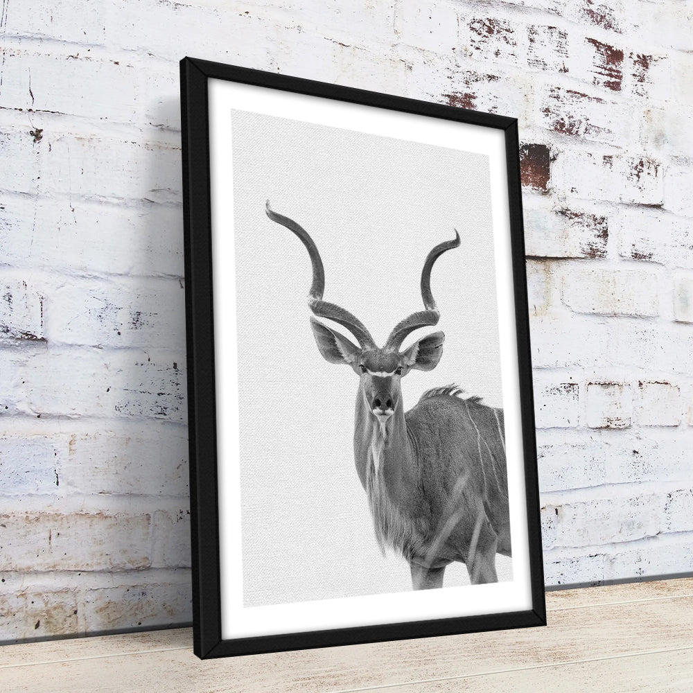 Greater Kudu Wall Art