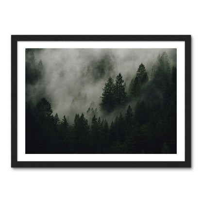 Pine Tree Misty Mountain Wall Art