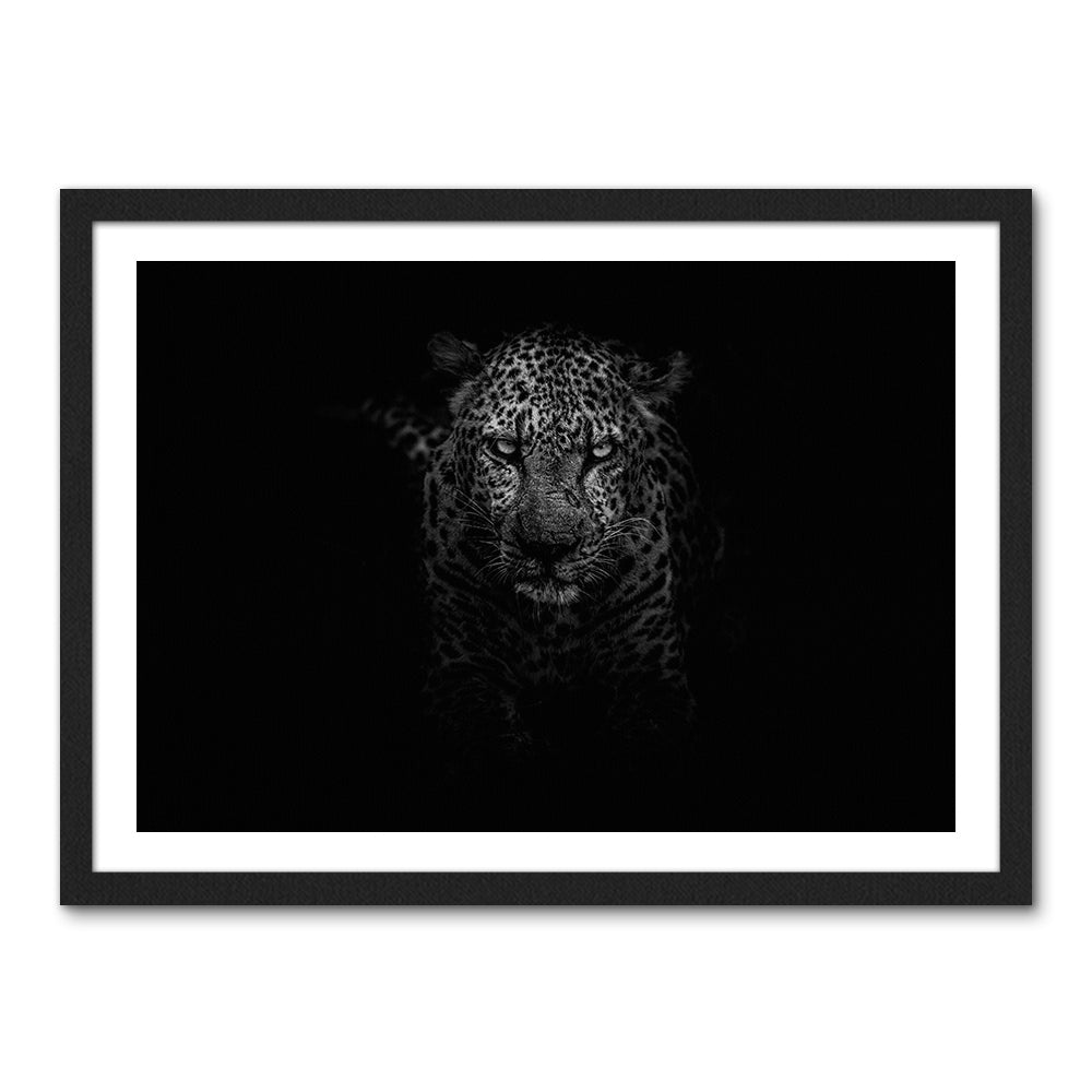 Black & White Leopard Large Wall Art