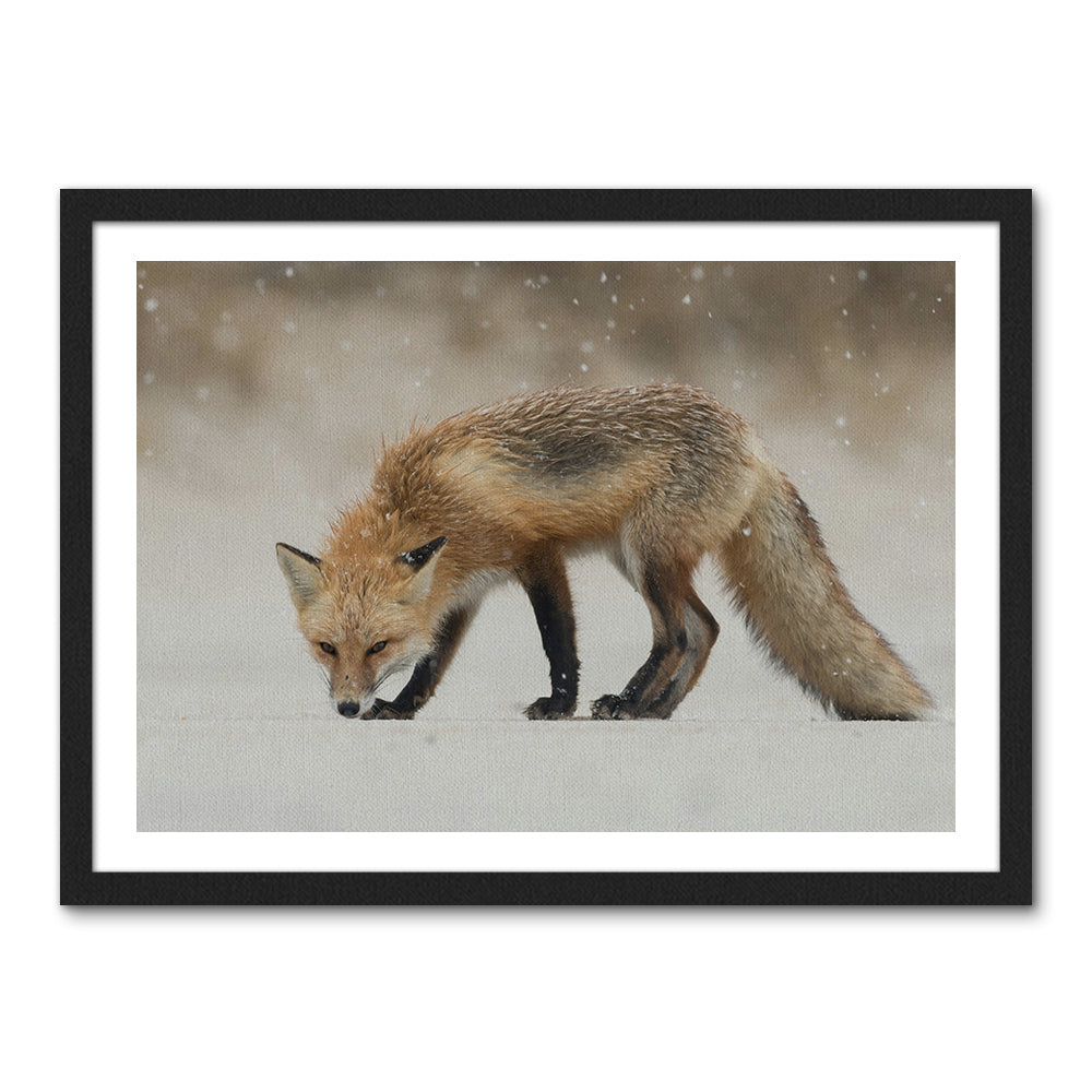 Winter Fox Large Wall Art