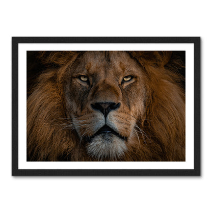 The Lion Large Wall Art