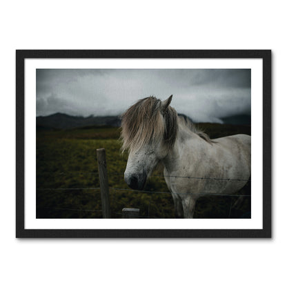 White Horse Wall Art