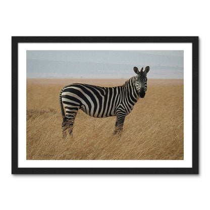 Safari Zebra Wall Art