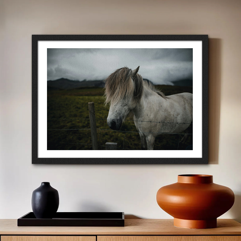 White Horse Wall Art