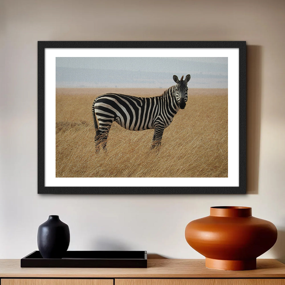 Safari Zebra Wall Art
