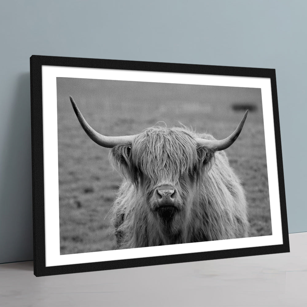 Black White Highland Cow Wall Art
