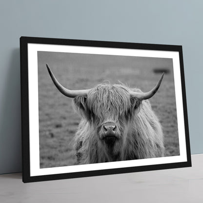 Black White Highland Cow Wall Art