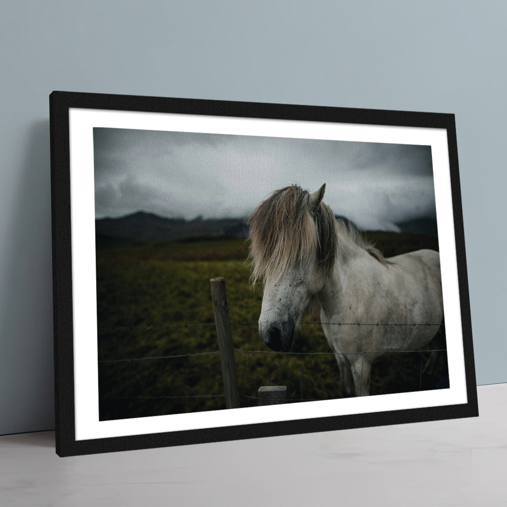 White Horse Wall Art