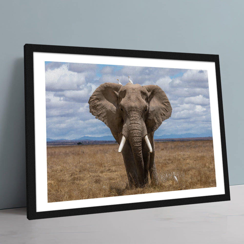 Safari Elephant Wall Art