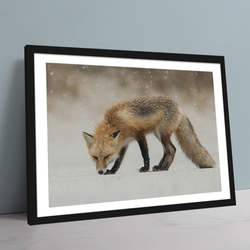 Winter Fox Large Wall Art