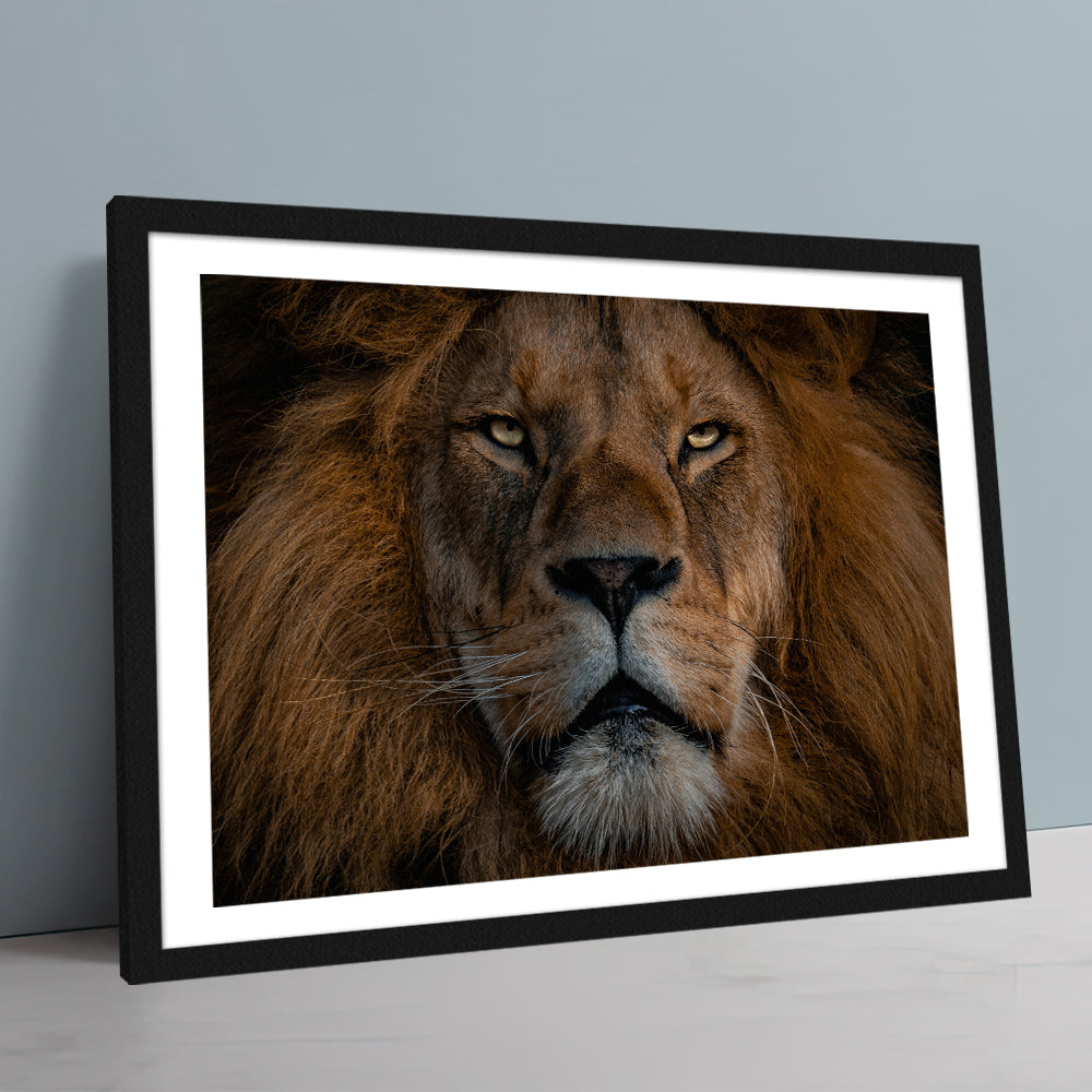The Lion Large Wall Art