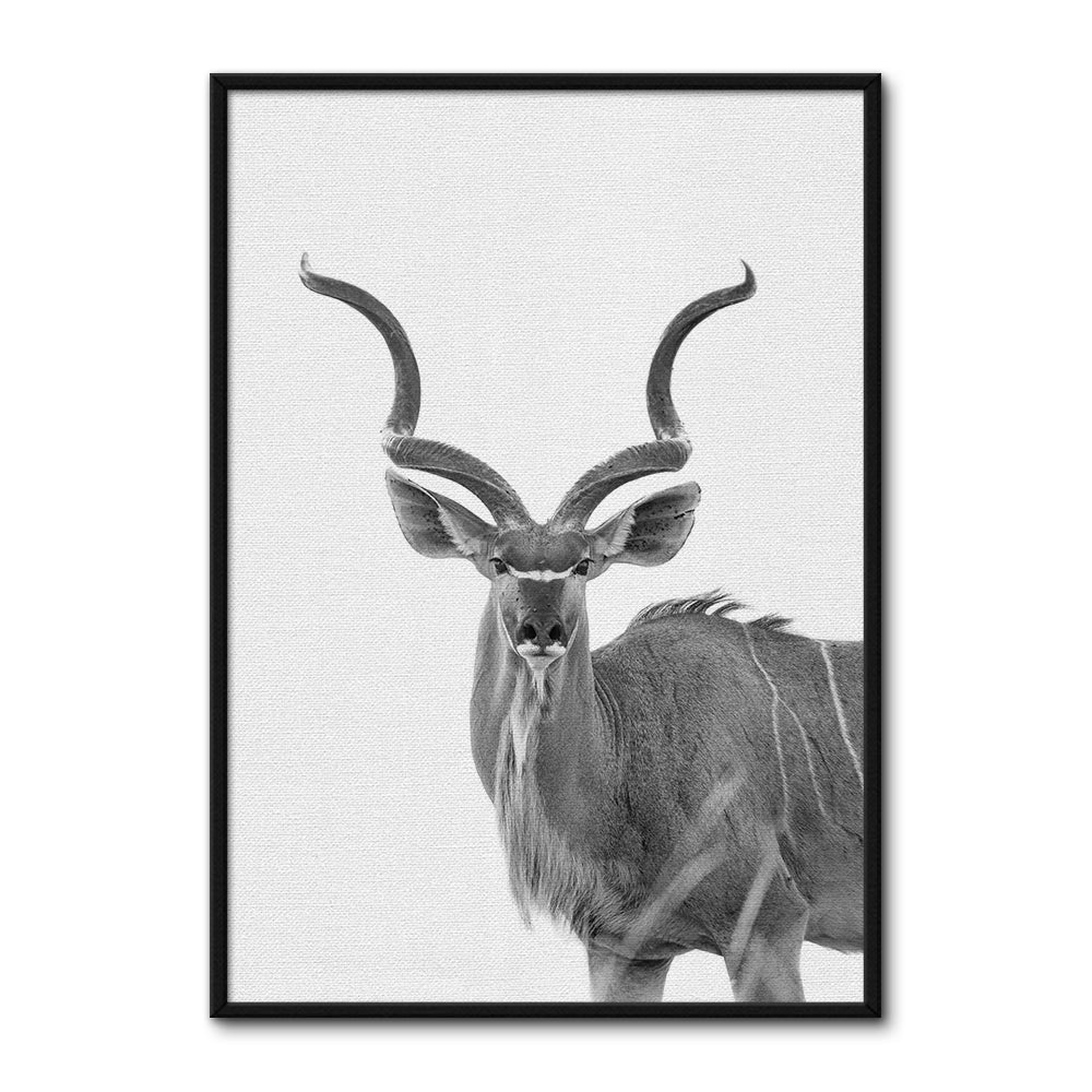 Greater Kudu Wall Art