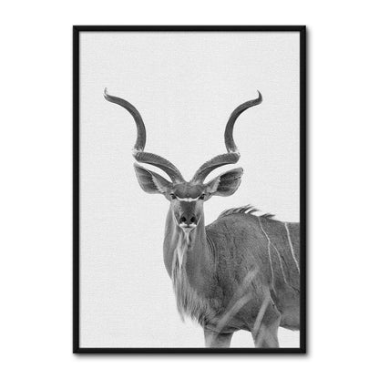Greater Kudu Wall Art