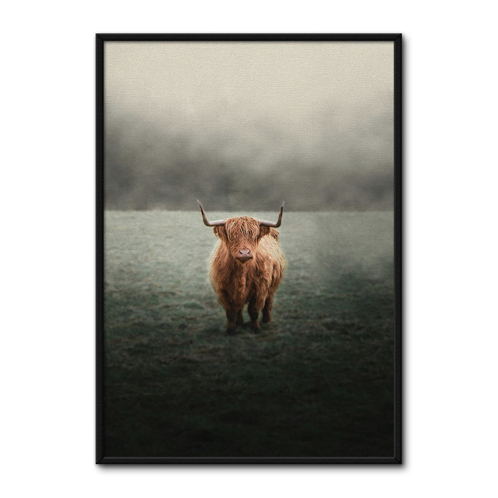 Mystery Highland Cow Wall Art