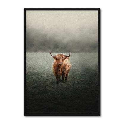Mystery Highland Cow Wall Art