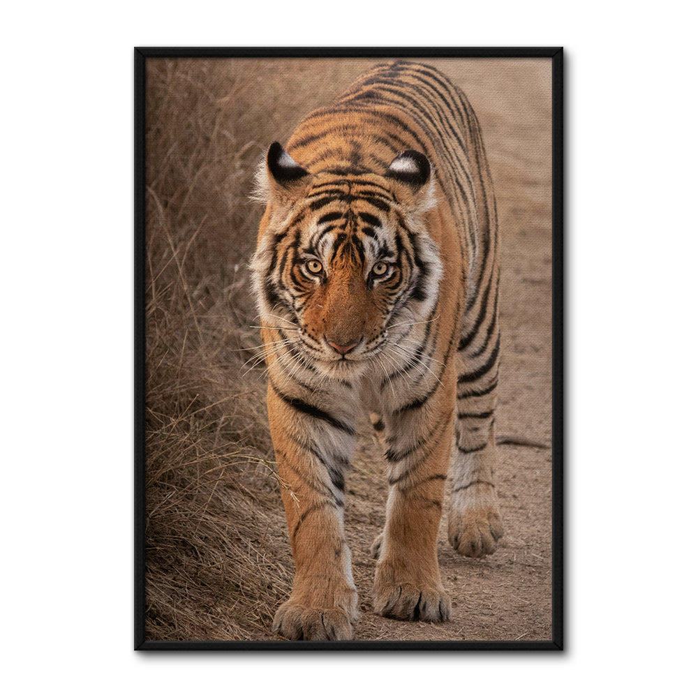 The Tiger Large Wall Art