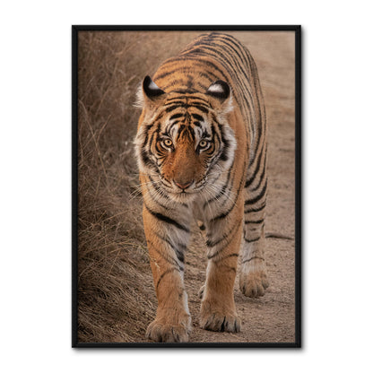 The Tiger Large Wall Art