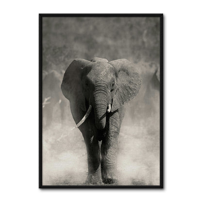 Gray Elephant Wall Art