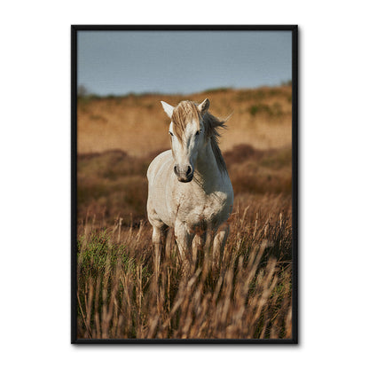 Safari White Horse Wall Art