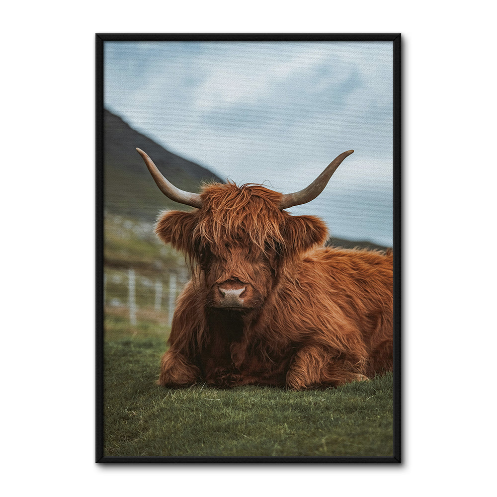 Chill Highland Cow Wall Art