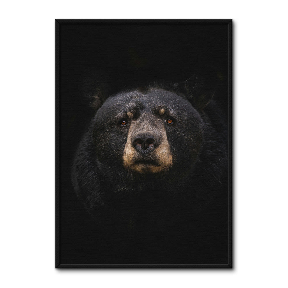 Black Bear Wall Art