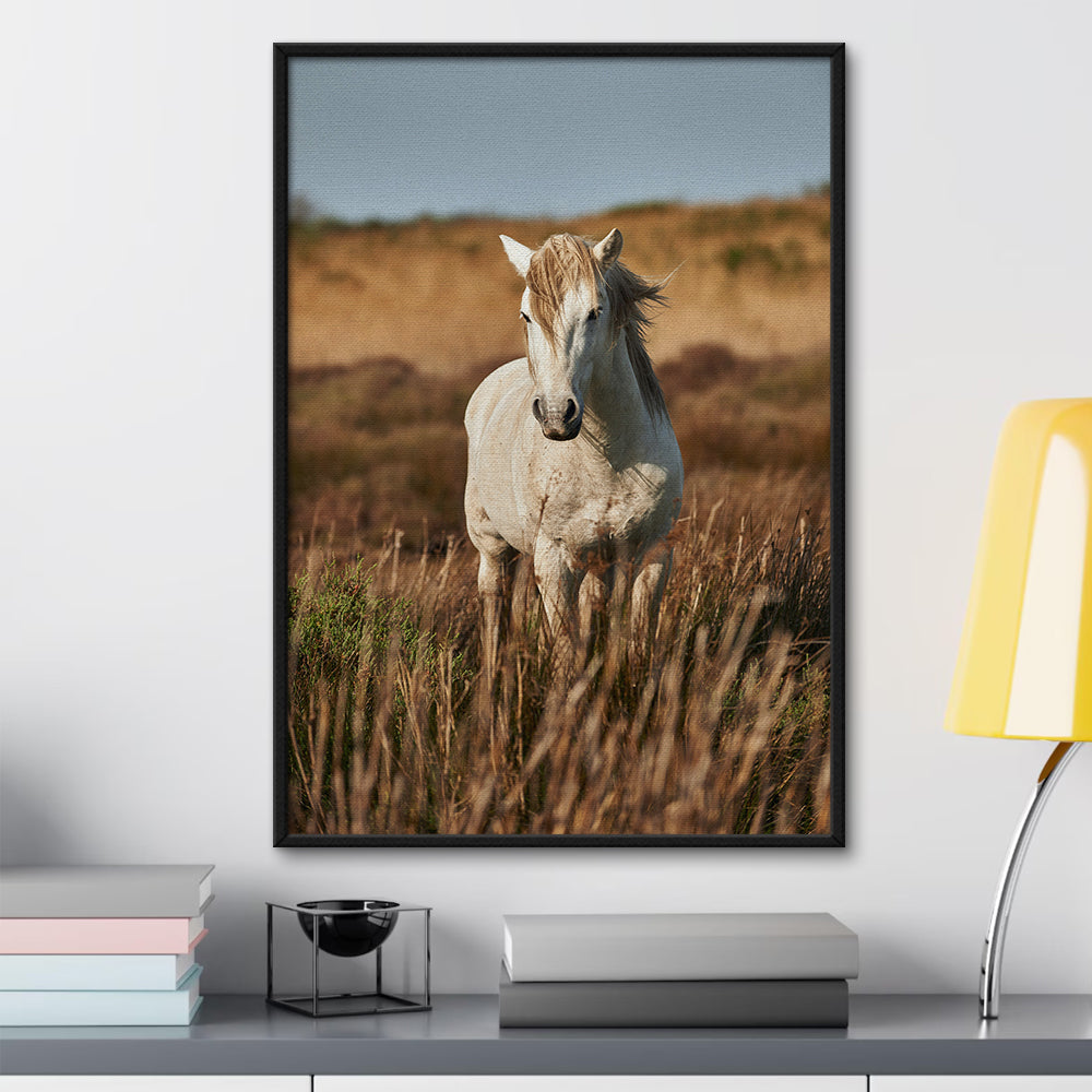 Safari White Horse Wall Art
