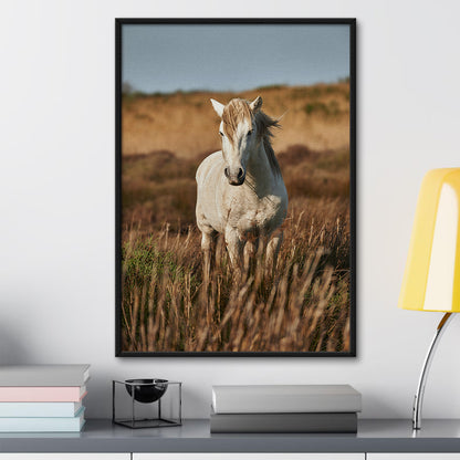 Safari White Horse Wall Art