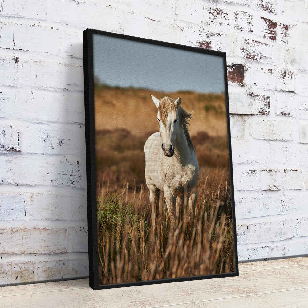 Safari White Horse Wall Art
