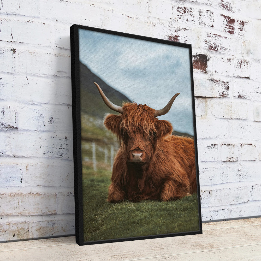 Chill Highland Cow Wall Art