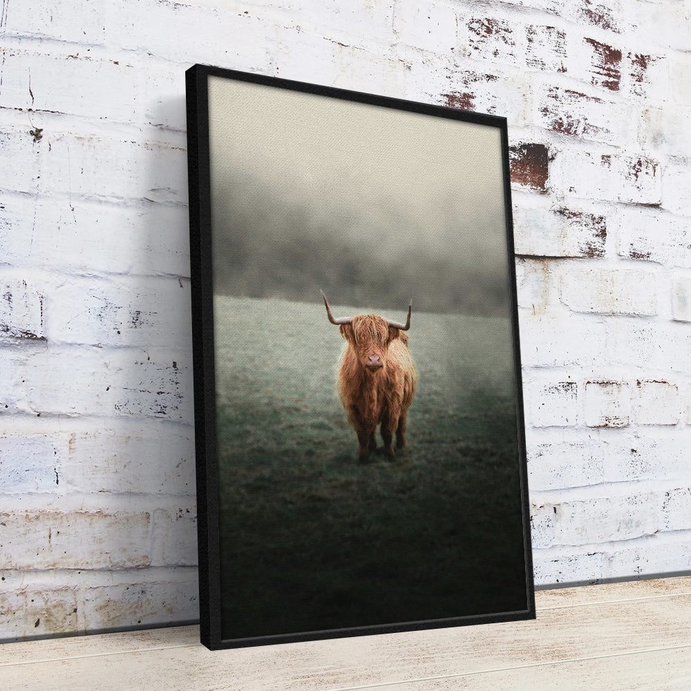 Mystery Highland Cow Wall Art
