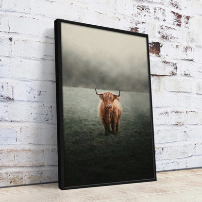 Mystery Highland Cow Wall Art
