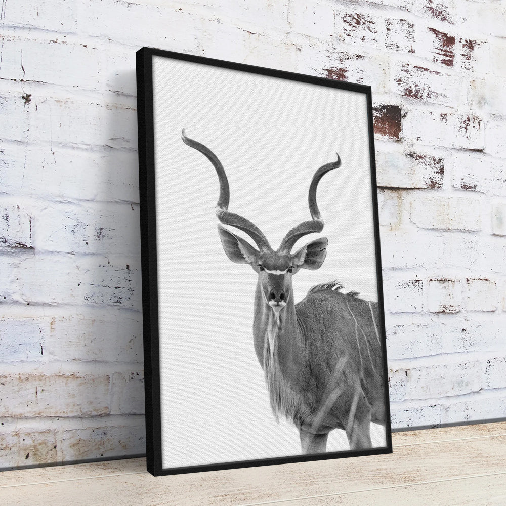 Greater Kudu Wall Art