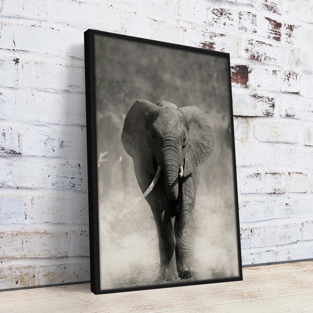 Gray Elephant Wall Art