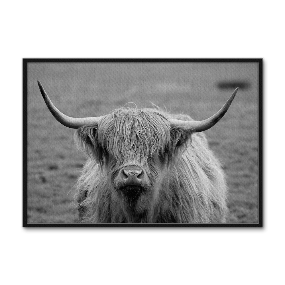Black White Highland Cow Wall Art