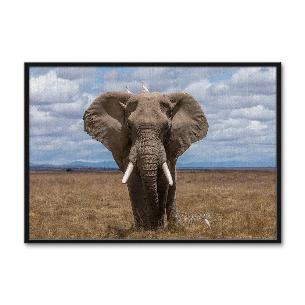 Safari Elephant Wall Art