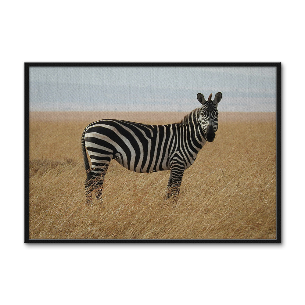 Safari Zebra Wall Art