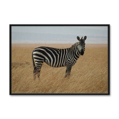 Safari Zebra Wall Art