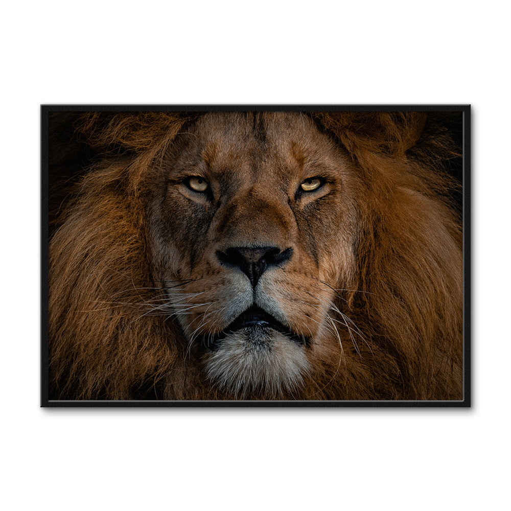 The Lion Large Wall Art