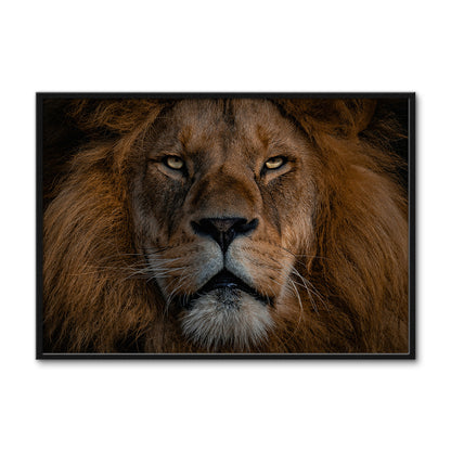The Lion Large Wall Art