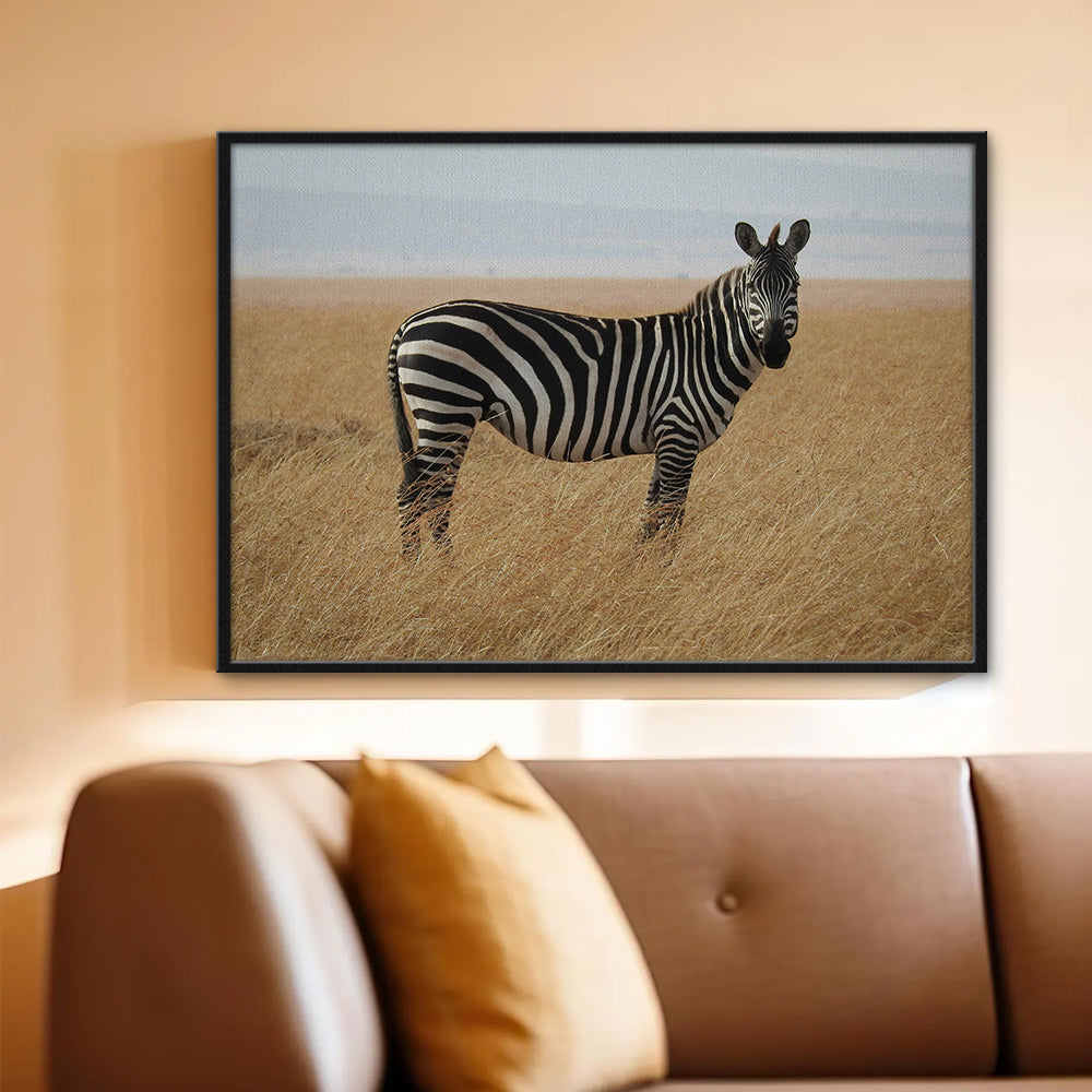 Safari Zebra Wall Art