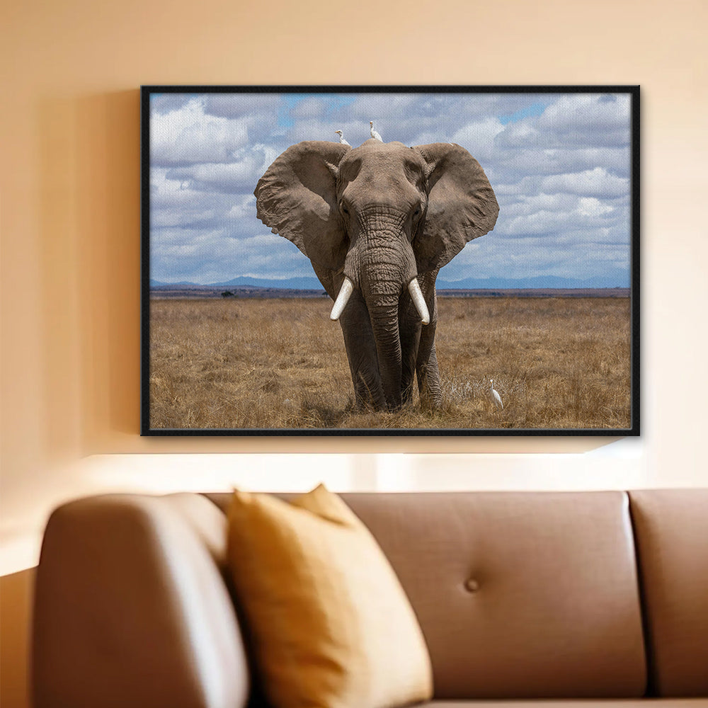 Safari Elephant Wall Art