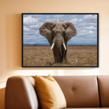 Safari Elephant Wall Art
