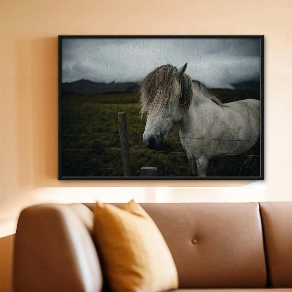 White Horse Wall Art