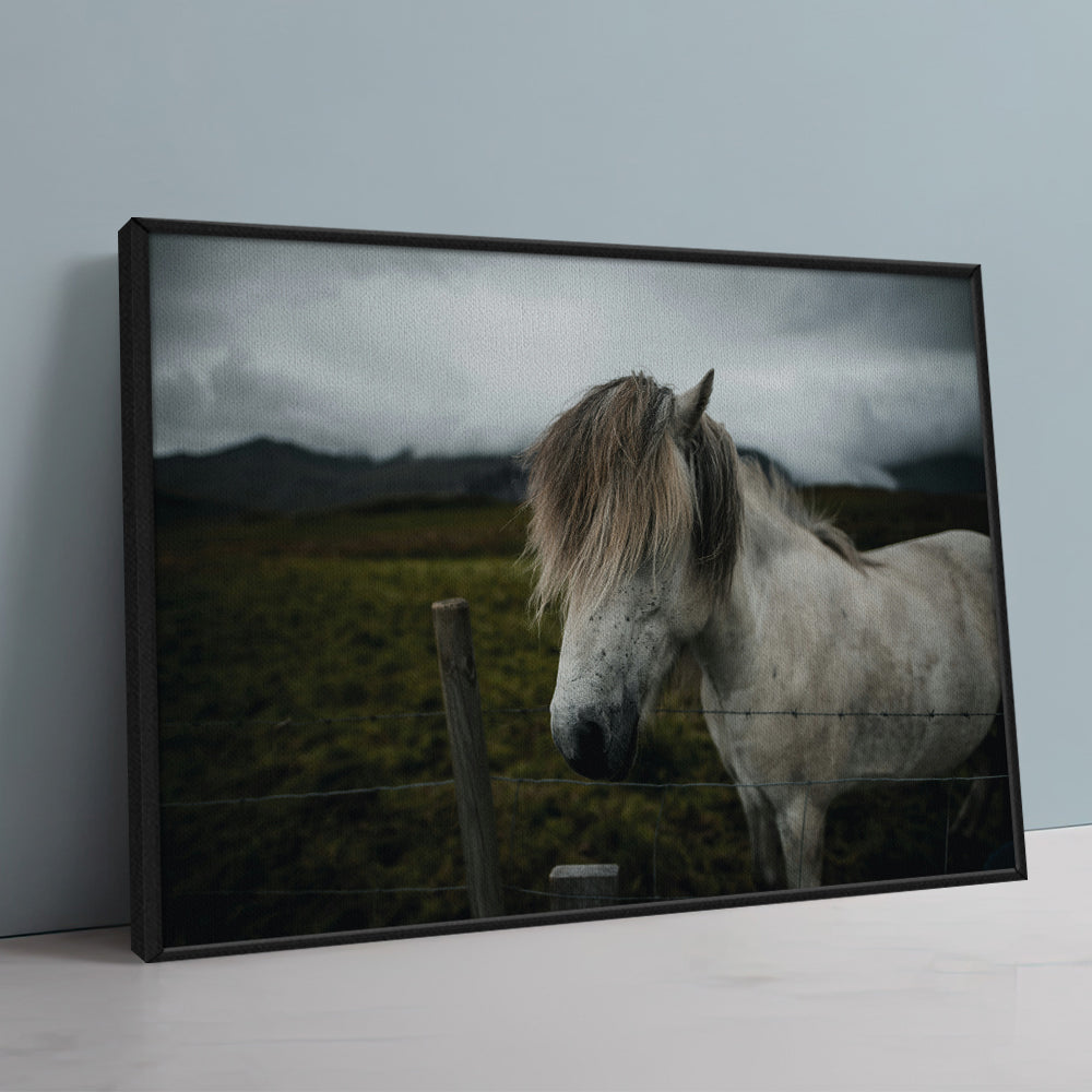 White Horse Wall Art