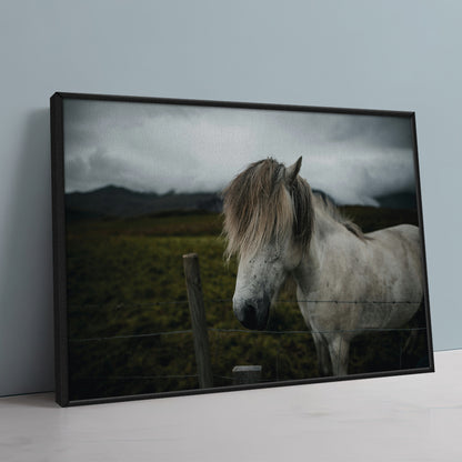 White Horse Wall Art