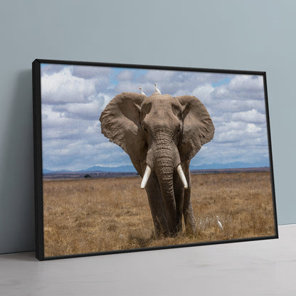 Safari Elephant Wall Art