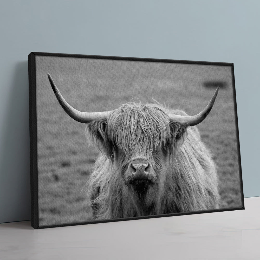Black White Highland Cow Wall Art