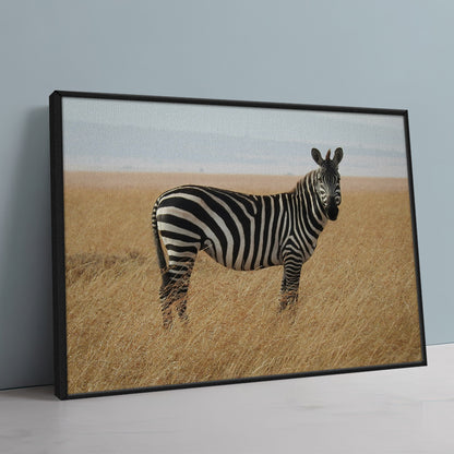 Safari Zebra Wall Art